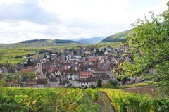 Riquewihr