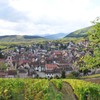 Riquewihr