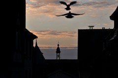 　Riquewihr