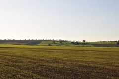 ラ・キュール通りからみた丘陵