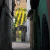 　Riquewihr