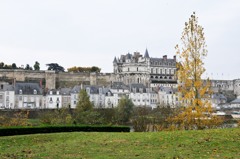 Amboise城