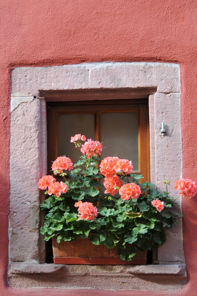　Riquewihr