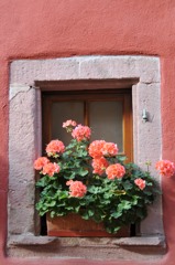 　Riquewihr