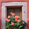 　Riquewihr