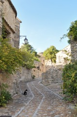 La Roque-sur-Ceze村内の石畳と猫