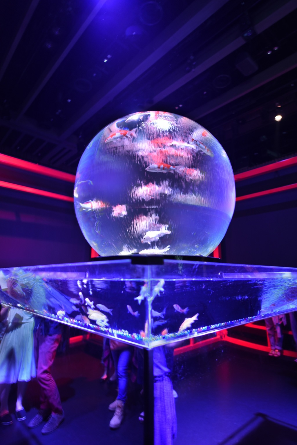 アートアクアリウム2015