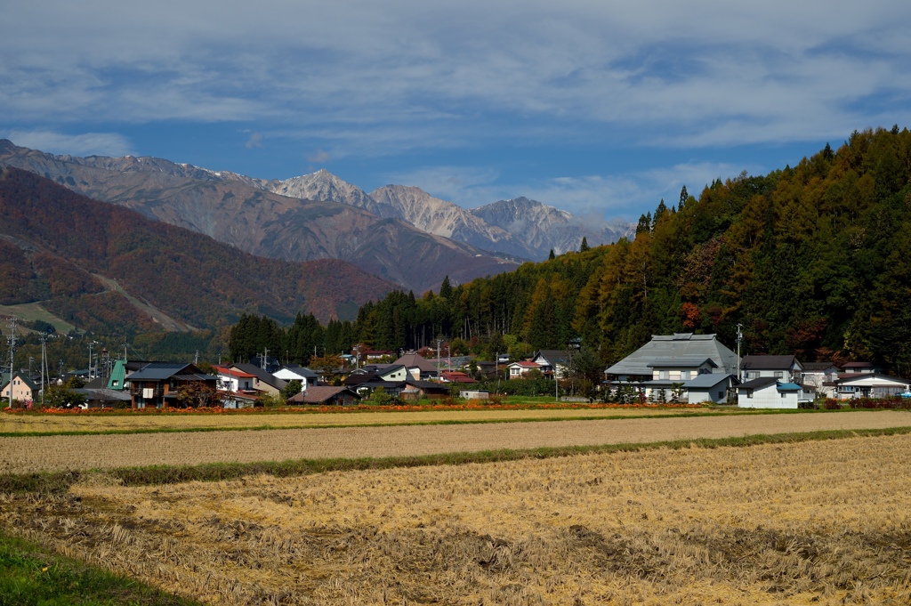 白馬三山と里の秋_5888