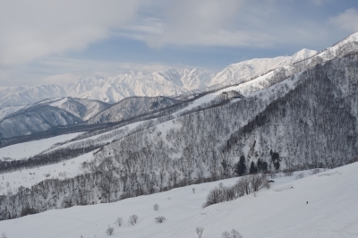 スキー場から見た白馬の山々