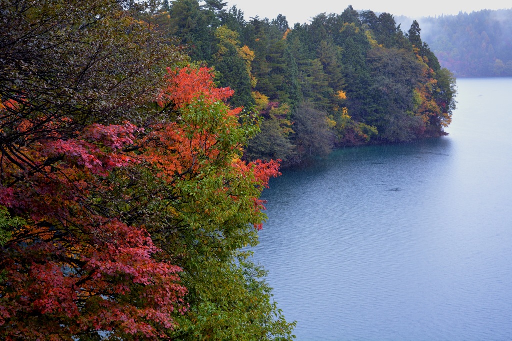 紅葉の青木湖畔_6190