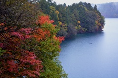 紅葉の青木湖畔_6190