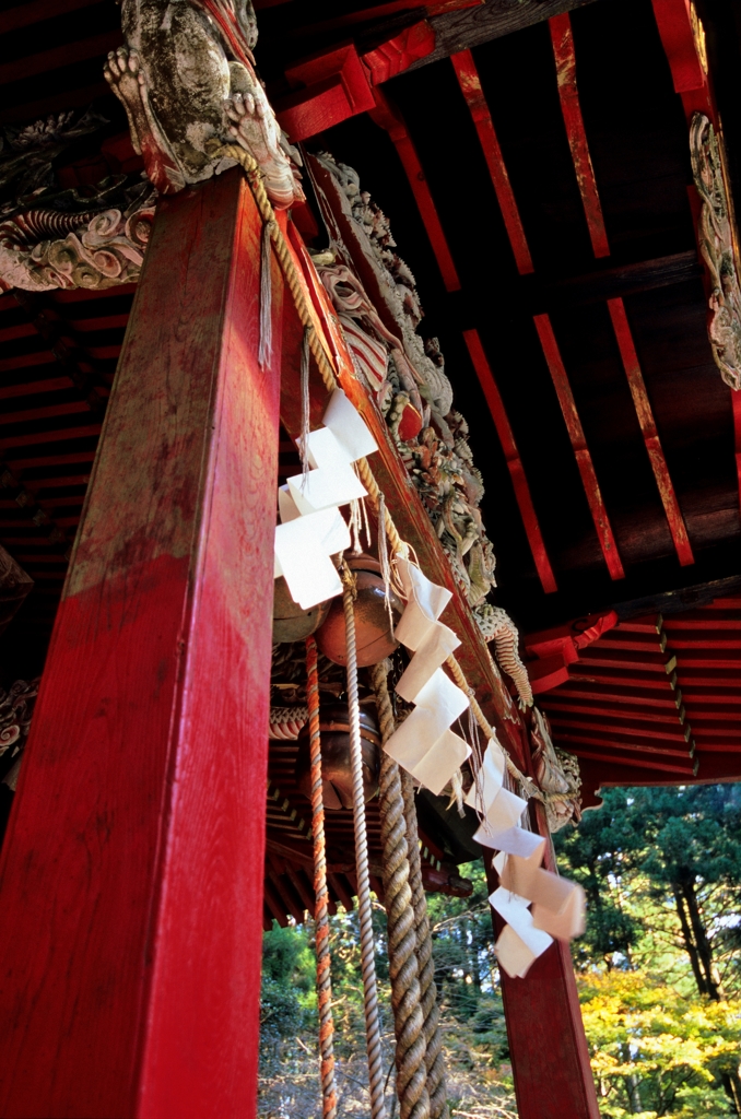花園神社の秋