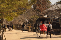宮島にて