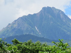 IMG_0693