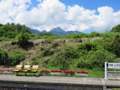 IMG_0694