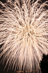 花火８　爆発