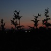 夕焼け