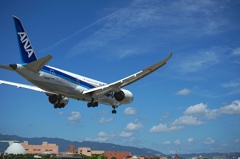 ANA 787