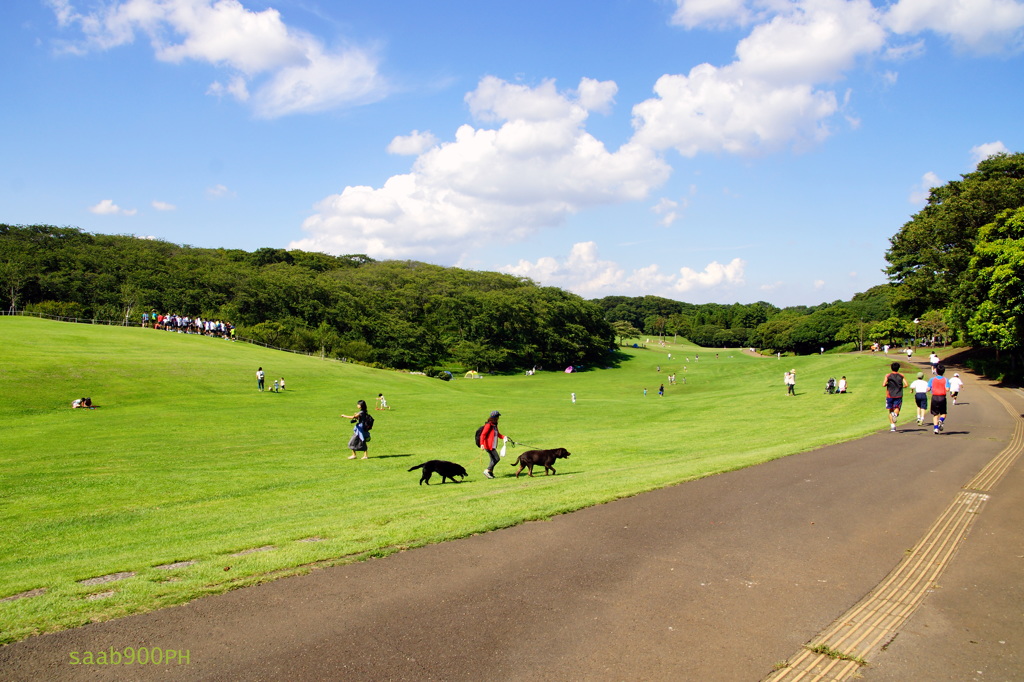 根岸森林公園で