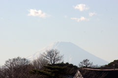 横浜からの富士-4