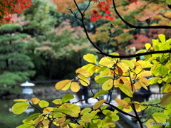 晩秋横浜公園にて