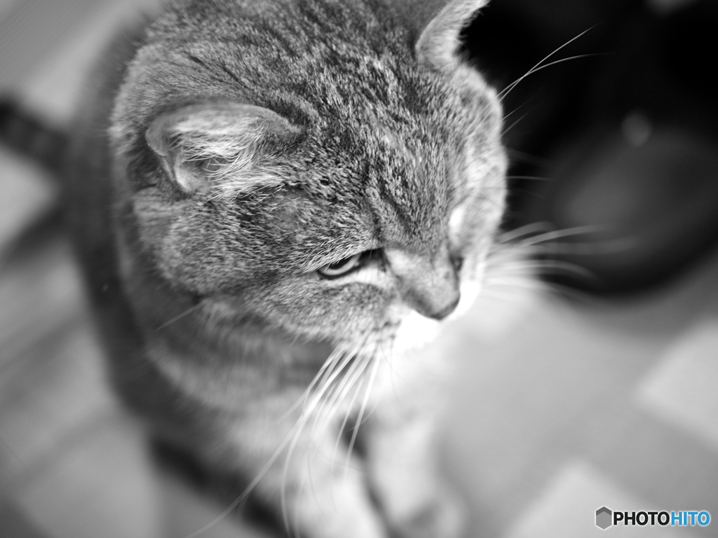 Memories of Maru