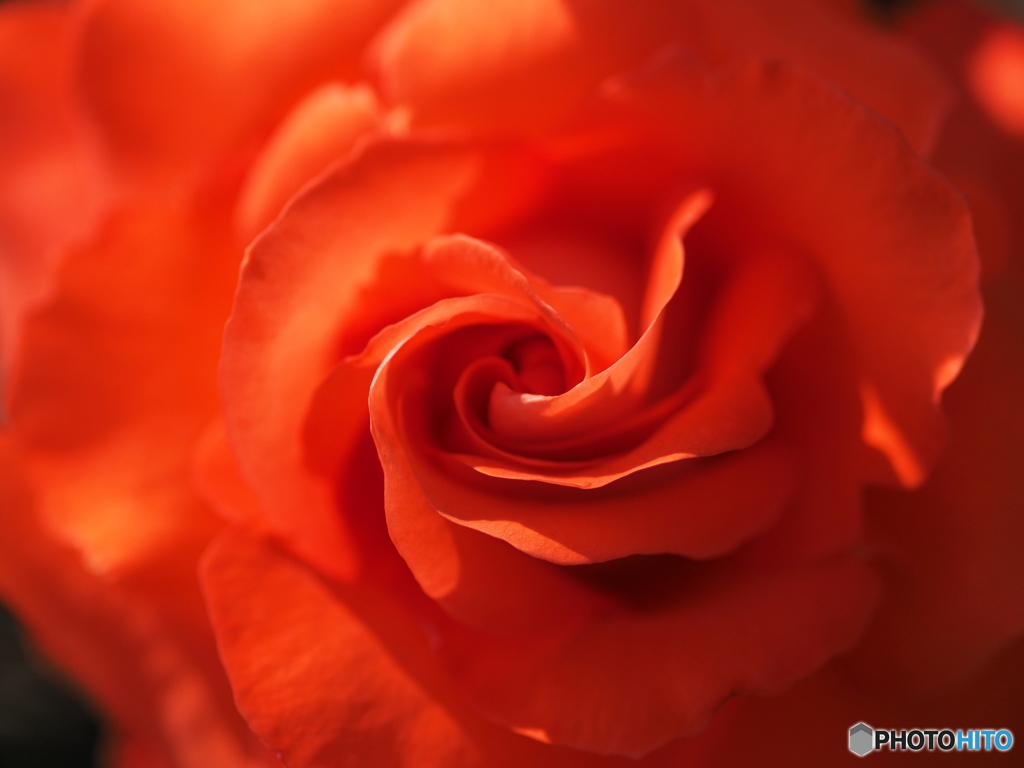 Naranja