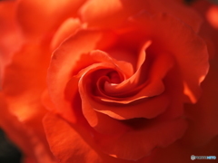 Naranja