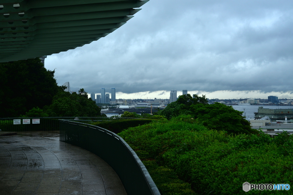 雨また楽し