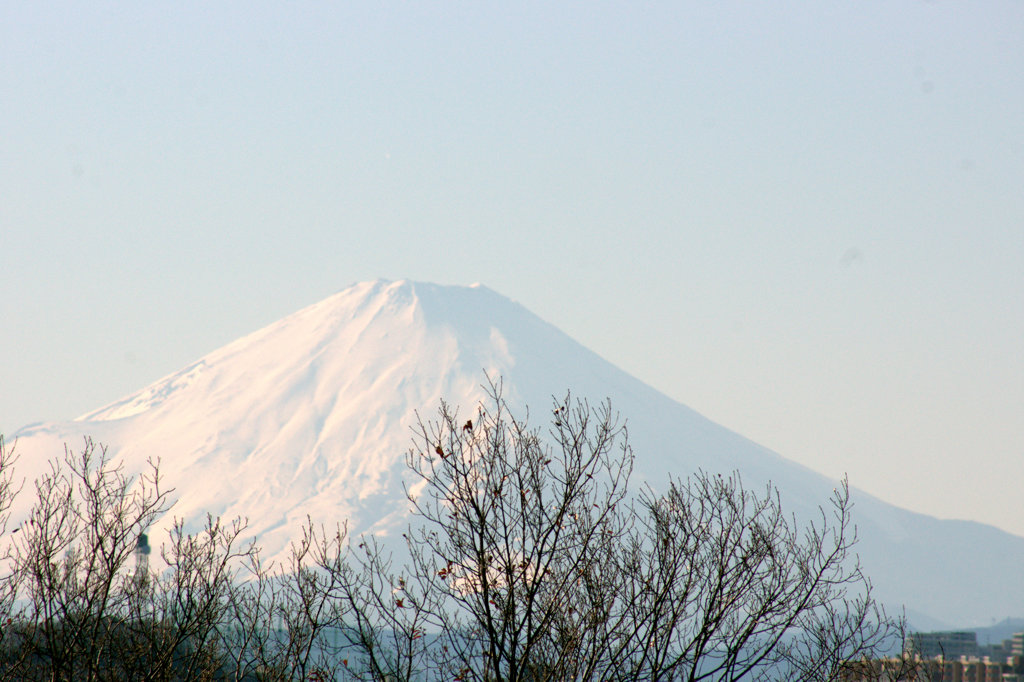横浜からの富士-2
