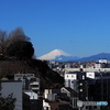 大きな富士