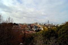 丘からの景色