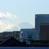 横浜から見えるもの