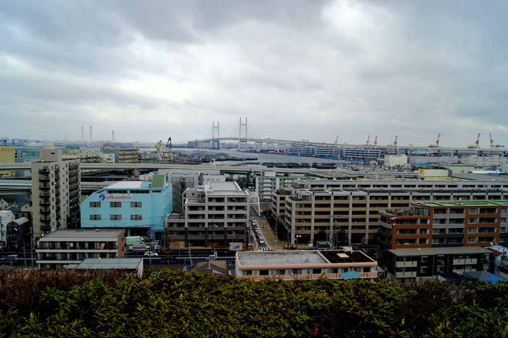 丘からの景色-4