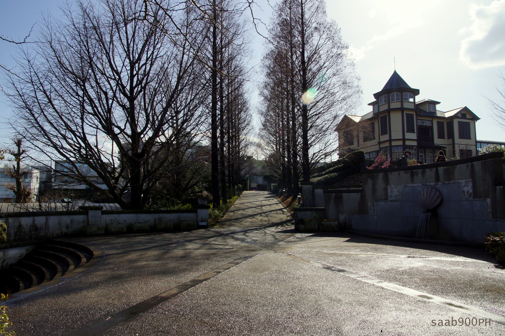 春の日差し