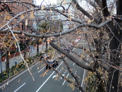 年末の横浜-3