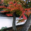 DiscoverJapan