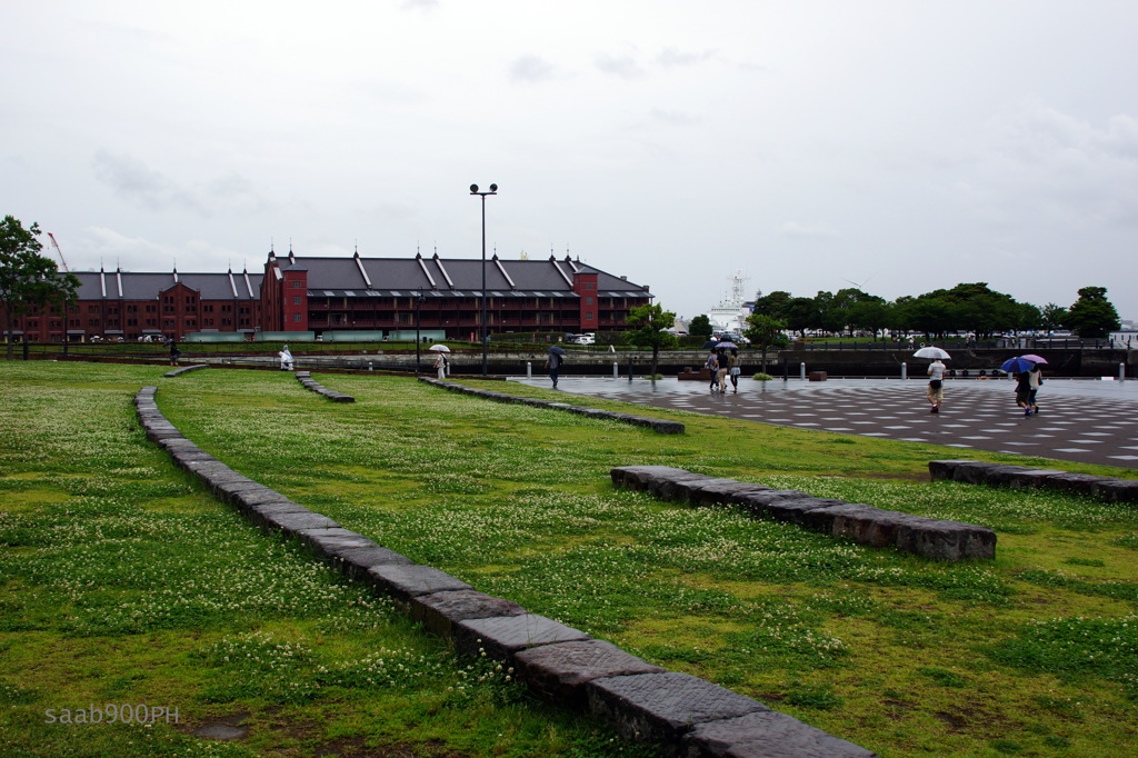 雨の横浜-4