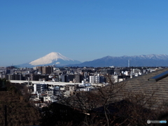 ハマっ子の冬の楽しみ