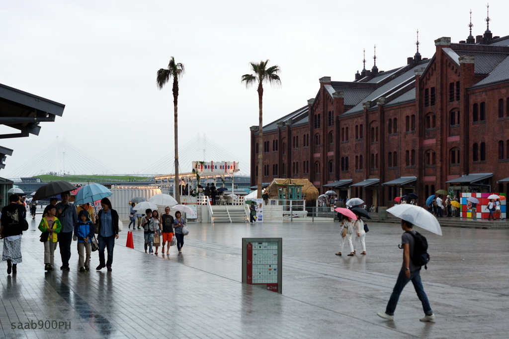 雨の日曜日