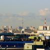 横浜から見えるもの-3