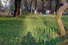 横浜での休日の過ごし方-4