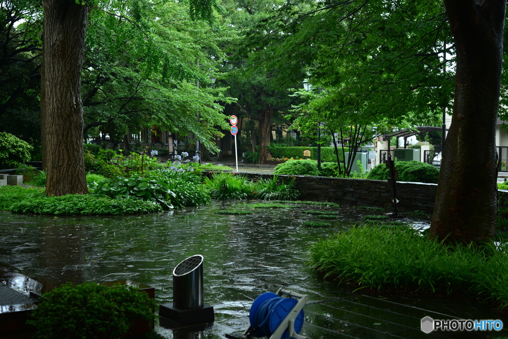 雨の山手