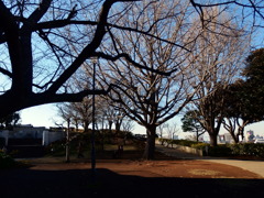 141223イタリア山にて