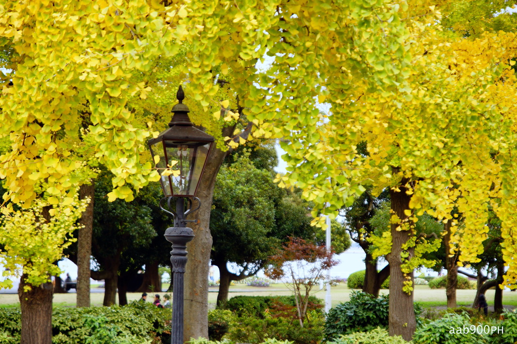晩秋の山下公園