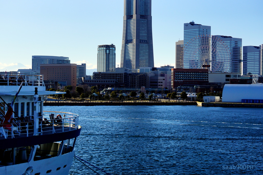 横浜冬の楽しみ