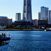 横浜冬の楽しみ