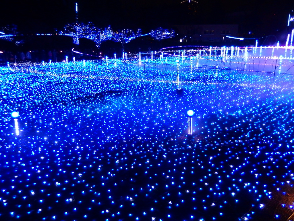 青色LEDの海