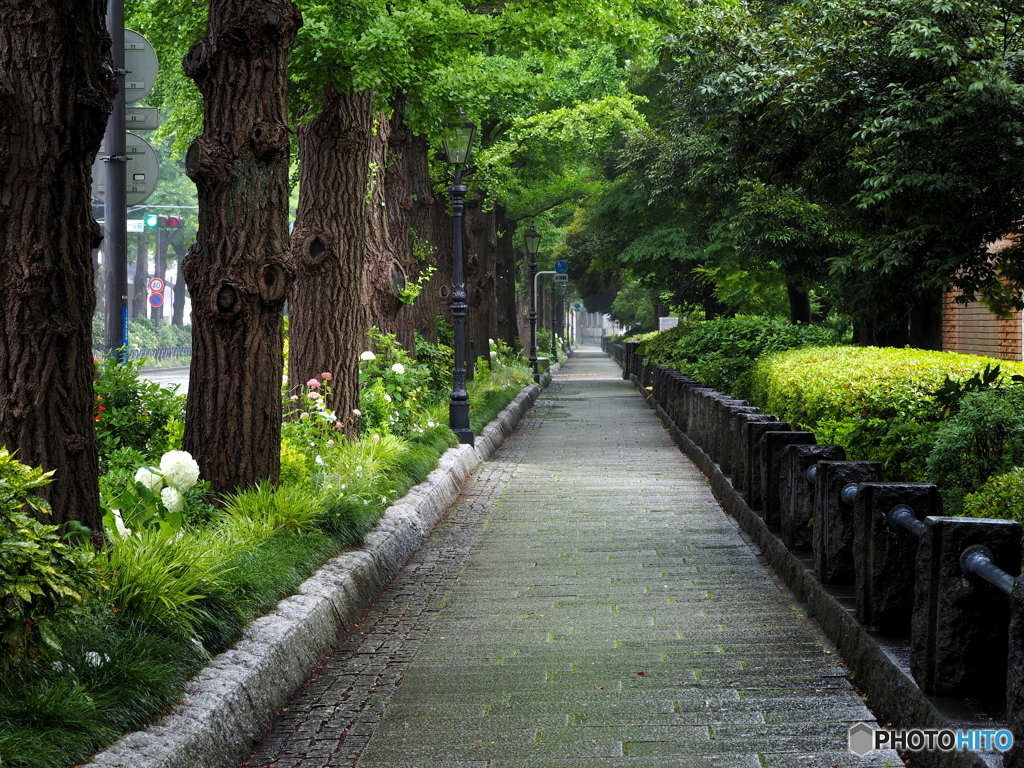 雨の日曜日