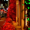 並木通りのクリスマス-1